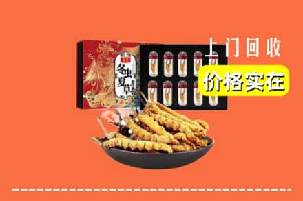 安康市汉阴回收冬虫夏草